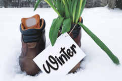 Baby Milestone Product Image 4