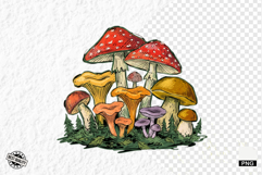 Summer Mushrooms PNG Clipart Product Image 1