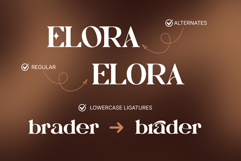 Bagku Fashion - Luxury Modern Logo Font Product Image 2