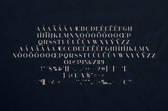 Huova Elegant Modern Serif Font Product Image 5