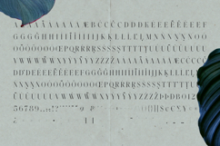 Emotive Type Headline Edition Product Image 5