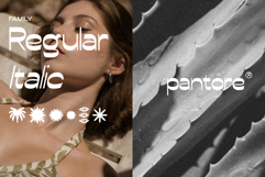 Conega Display Font Product Image 5