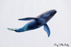 Whales Clipart design PNG Product Image 1