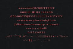 Ludic Modern Display Sans Serif Font Product Image 5