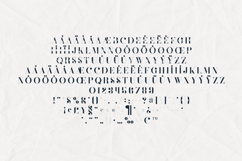 Defect Distressed Vintage Serif Font Product Image 1