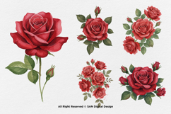 15 Bundle Watercolor Red Rose Romantic Floral Flower Elegant Product Image 5
