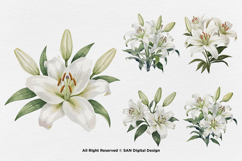 15 Bundle Watercolor White Lily Flower Wedding Minimalist Product Image 5