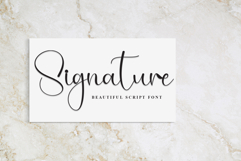 Handsome Product Image 5