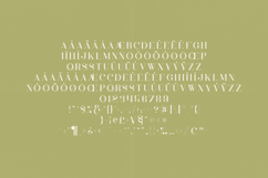 Inara Organic Serif Font Elegant Distressed Vintage Display Product Image 5