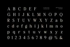 The Belonid - Classy Serif Font Product Image 5