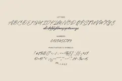 Sovra Kinetic Brush Script Font Product Image 5