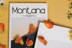 Christmas Milkshake Product Image 5