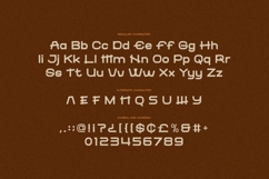 Paloma Origen - Handdrawn Vintage Font Product Image 5