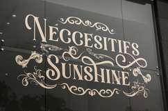 Heiruns - Decorative Luxury Serif Font Product Image 5