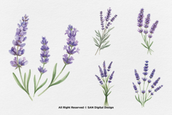 15 Bundle Watercolor Lavender Flower Purple Rustic Vintage Product Image 5