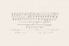 Obviate Script Font Modern Signature Handwritten Product Image 5