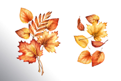 Golden leaves Product Image 4