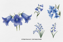 15 Bundle Watercolor Blue Bell Flower Spring Floral Garden Product Image 5