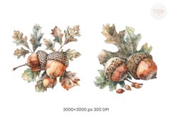 Pine Cones Product Image 5