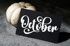 Thicker Vintage - Family Font In 61 Styles Product Image 5