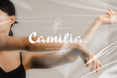 Celine Casual Bold Script Font Product Image 5