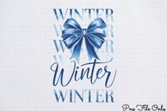 Winter Raccoon Sublimation Clipart PNG Product Image 1