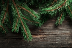 Wooden Background, Pine Branch Background PNG Product Image 1
