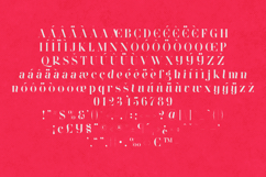 Wonderz Edge Elegant Modern Serif Font Product Image 5