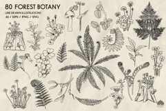 Forest Botany line art collection Svg Png Eps Product Image 5