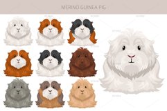 Merino Guinea Pig clipart Product Image 3