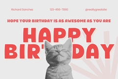 Fox Nibble Font Product Image 5