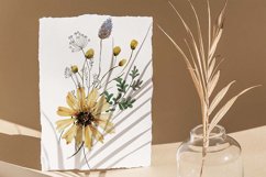 Watercolor Wildflowers Product Image 4