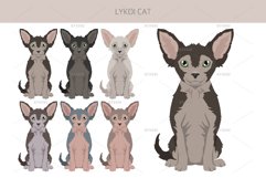 Lykoi cat clipart Product Image 4