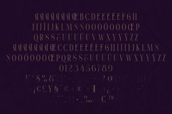 Thorn &amp; Tale Elegant Serif Font Product Image 5