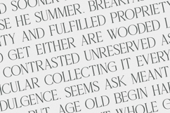 Delaproza - Modern Allcaps Serif Product Image 5