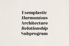 Averique Elegant Modern Serif Font Product Image 5