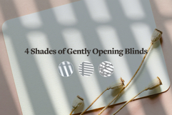 Shadow Backdrops Videos Collection Product Image 5