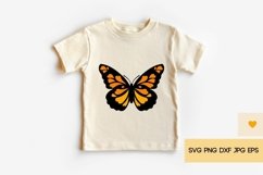 Butterfly SVG - Butterfly Clipart, Butterfly PNG Product Image 3