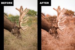 Best Orange &amp; Teal Lightroom Presets For Desktop and Mobile Product Image 5