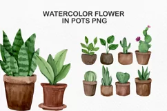 Home flowers in pots Clipart Digaital Clipart hand drawing Product Image 1