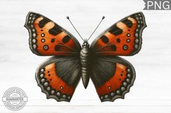 Halloween Butterfly Clipart - Halloween Sublimation PNG Product Image 1