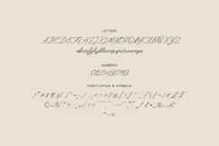 Oriel Airy Signature Script Font Product Image 5