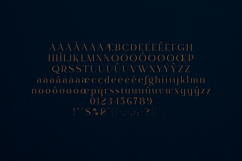 Rowan Elegant Modern Serif Display Font Product Image 5