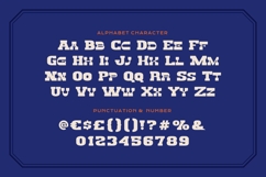 Twin Denko - Chunky Slab Typeface Product Image 5