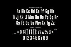 Dormanc Northy - Condensed Font Product Image 5