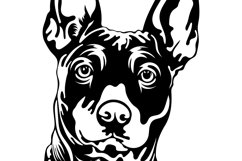Miniature Pinscher/Dog Svg/Png/Jpg/Ai/Vector purebred breed Product Image 5