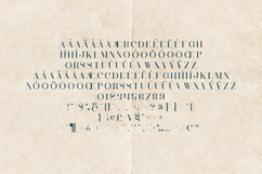 Inara Organic Textured Serif Font Product Image 5
