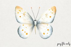 Jungle Book Watercolor Clipart PNG Product Image 1