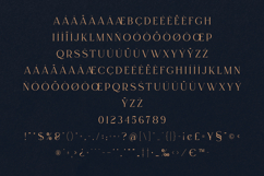 Regal Serif Elegant Modern Display Typeface Product Image 5