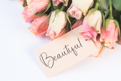 October Signature Product Image 5